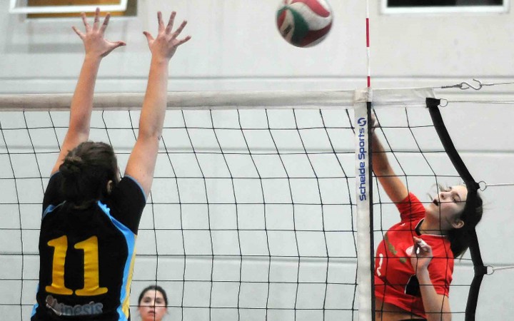 voleibol