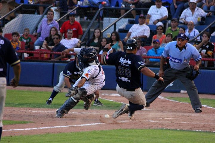 190000_423165631051954_819624527_n