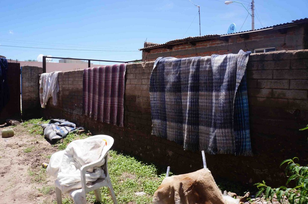 COLABORAN BRIGADAS EN LIMPIEZA PATIOS AFECTADOS POR TORMENTA
