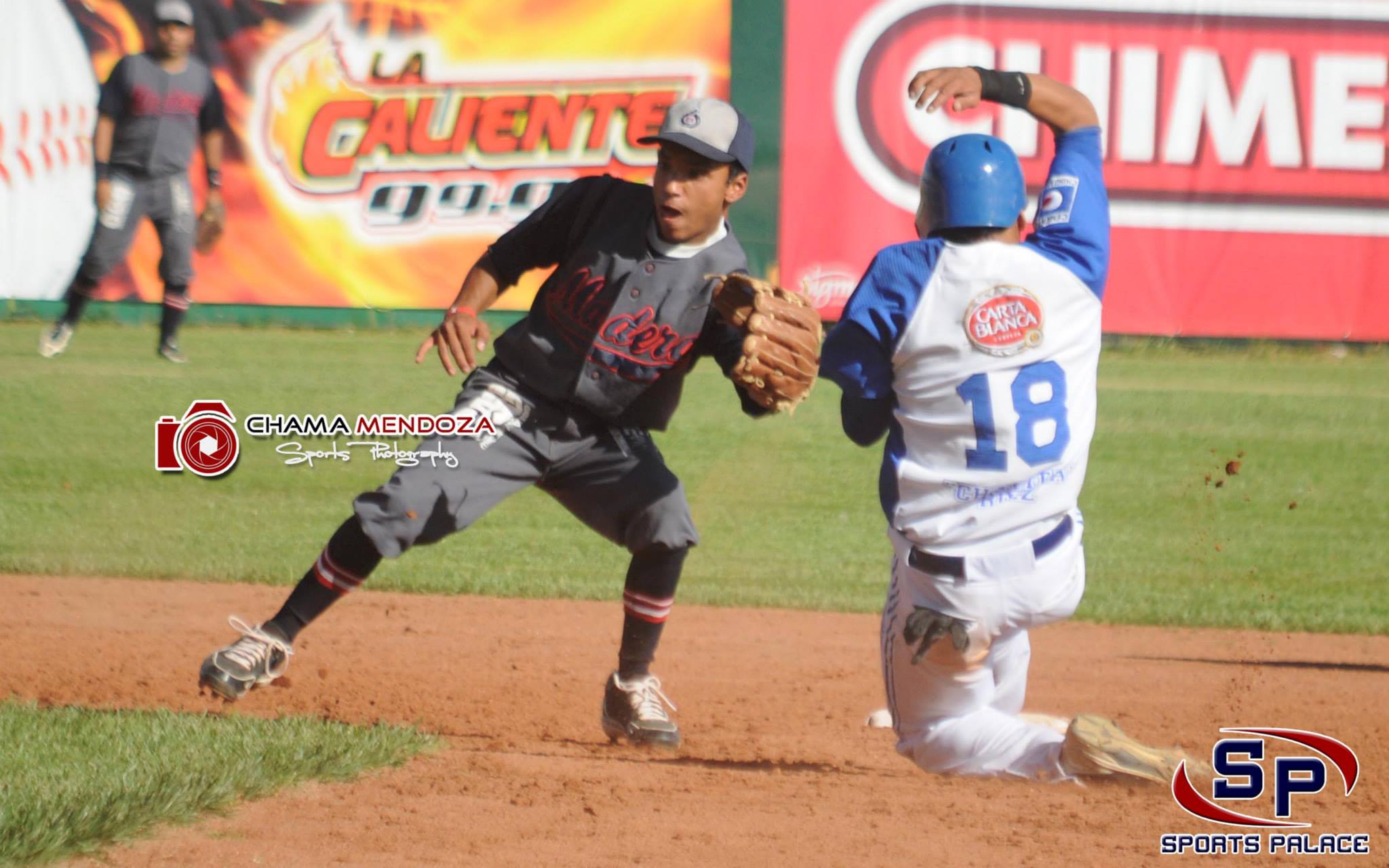 GALERIA. VENADOS VS MANZANEROS.