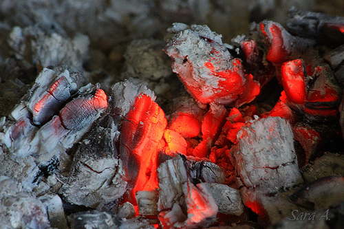 5020291527_79de836b51