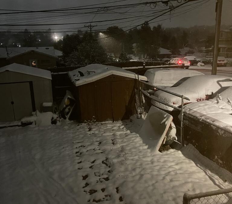 REPORTAN NEVADAS  EN DENVER