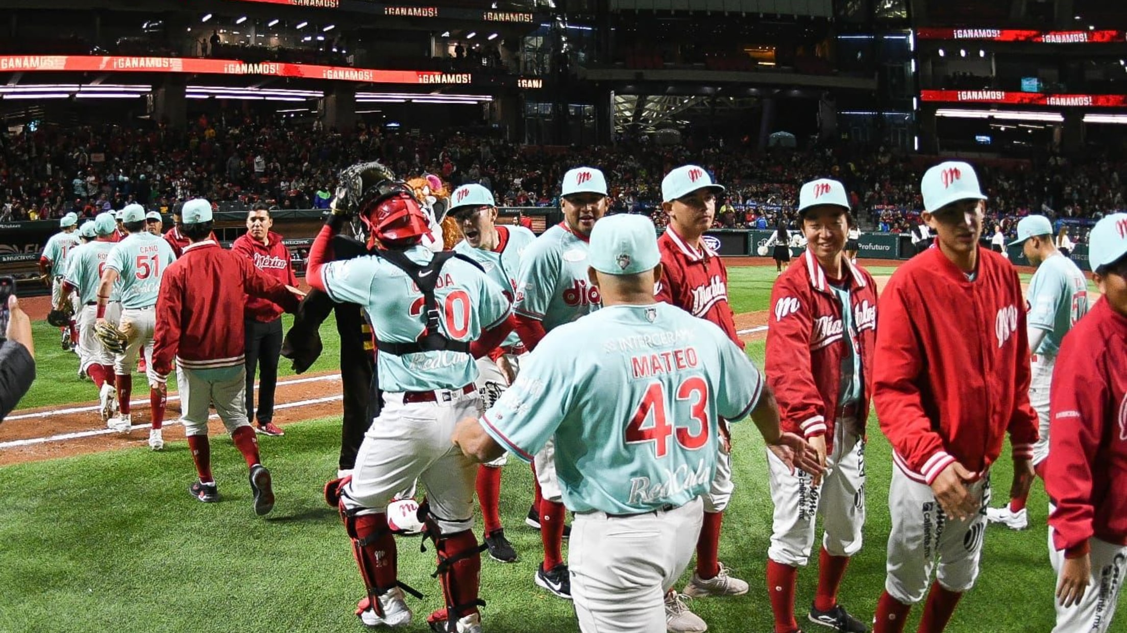 m93p3hleuuxqrp8mpwhp (1)