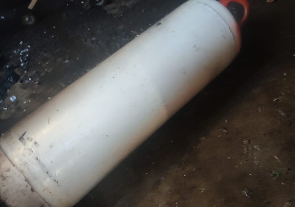 PERRO OCASIONA INCENDIO