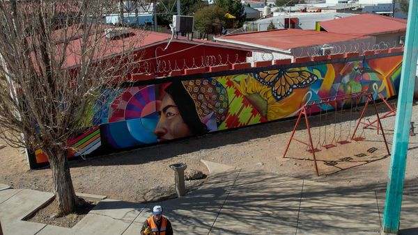 419713651_771563185012402_4096797889886991863_n