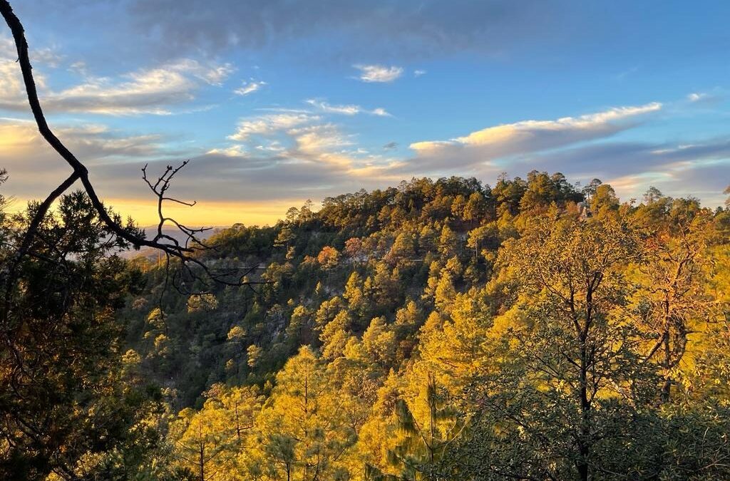 NUEVO FRENTE FRIO TRAERÁ VIENTOS, LLUVIA Y NIEVE PARA LA SIERRA ESTE FIN DE SEMANA