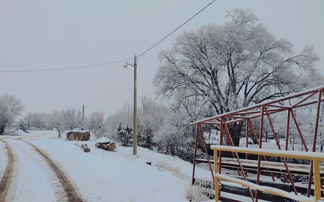 POSTALES  DEL CLIMA EN MADERA