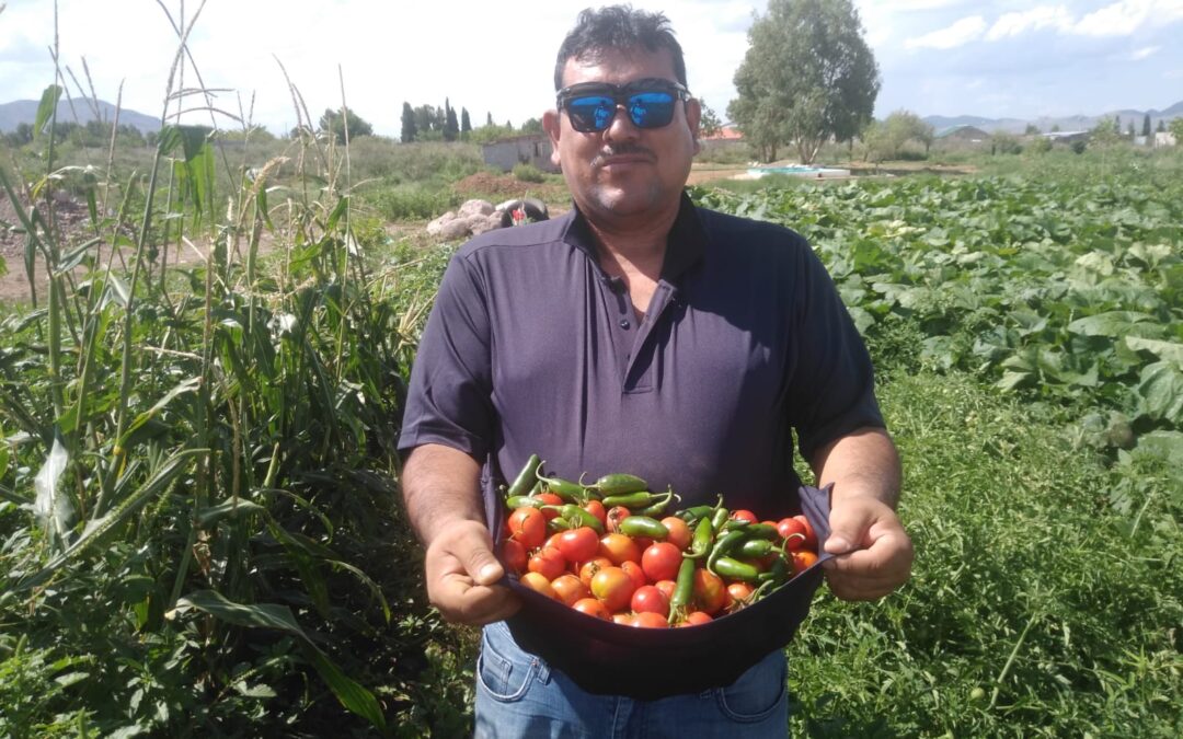 PROMUEVE EL ESTADO HUERTOS FAMILIARES