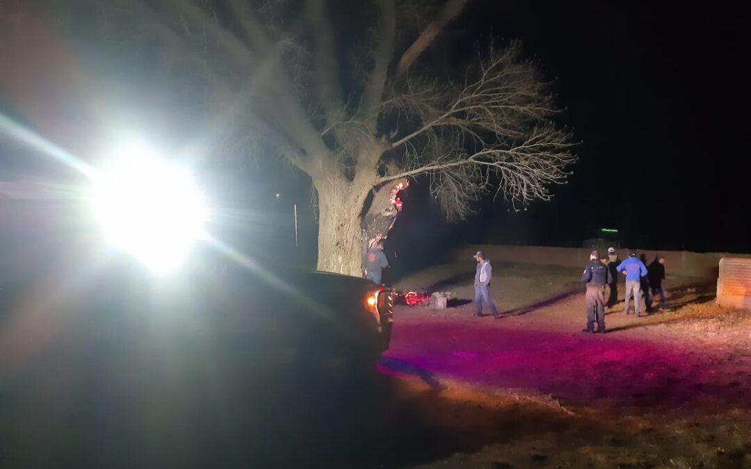 EN CASA COLORADA SE INCENDIÓ  ARBOL