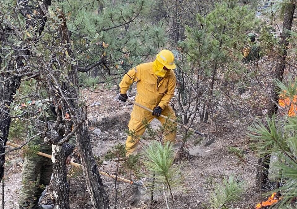 NECESITAN MAS  APOYO BRIGADISTAS 