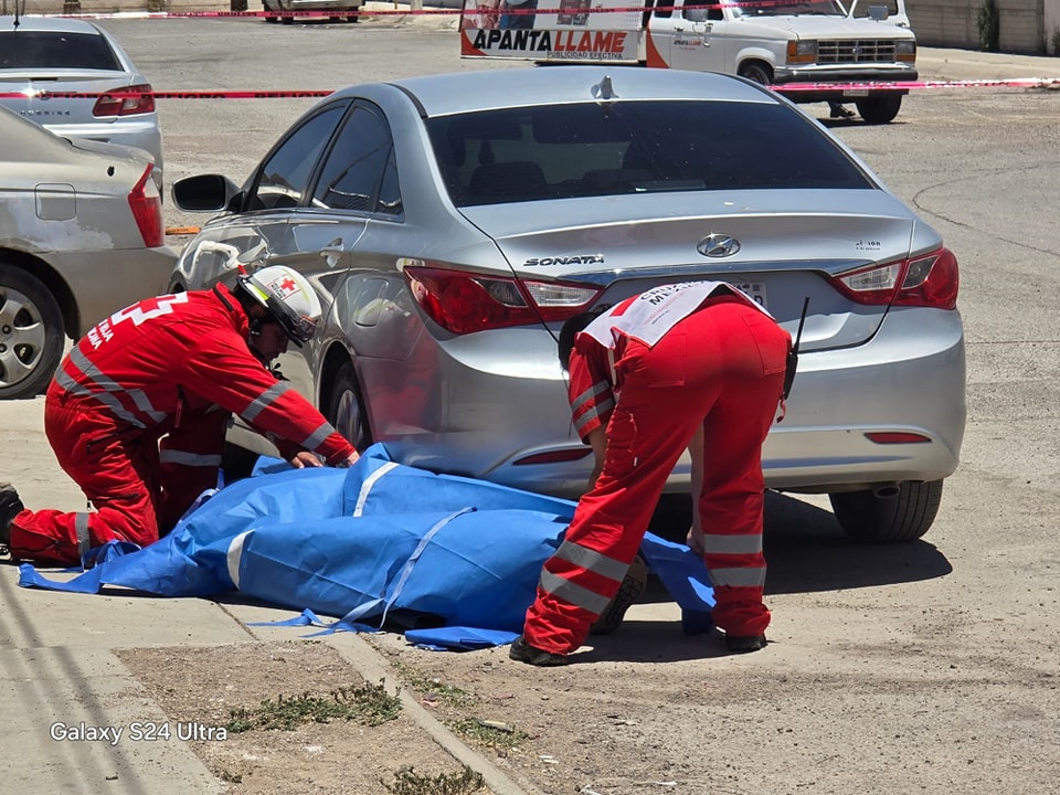 444487283_965022708957963_2698729362319704_n