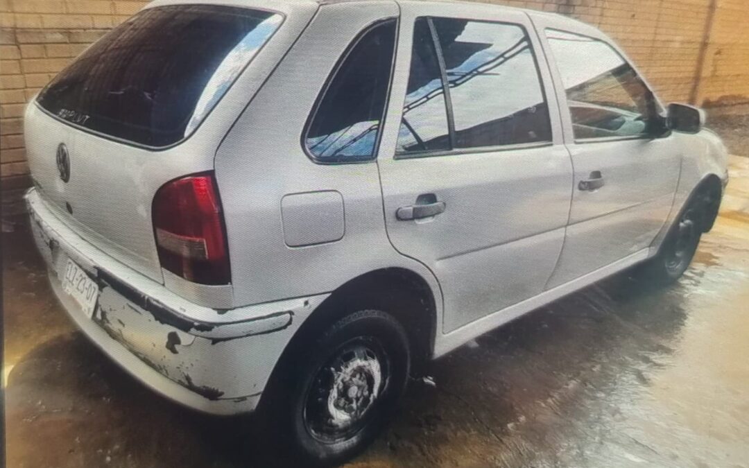 LE ROBAN POINTER  DE AUTO LAVADO