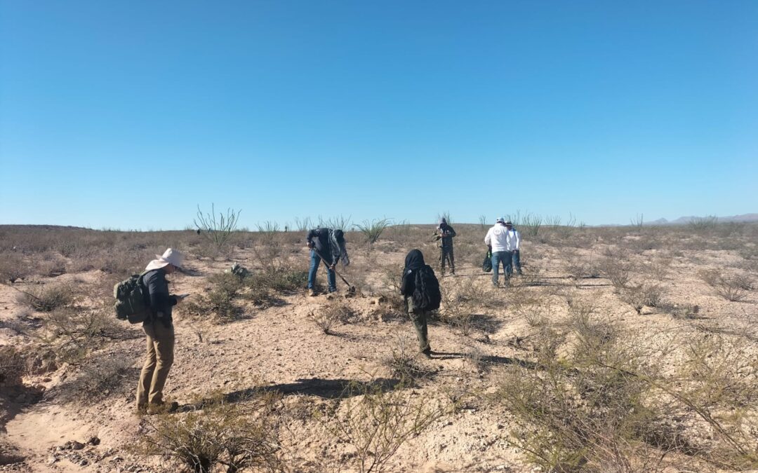 ASEGURAN RESTOS OSEOS EN EL MIMBRE