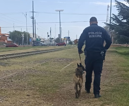 thumbnail_IMG-20240826-WA0153