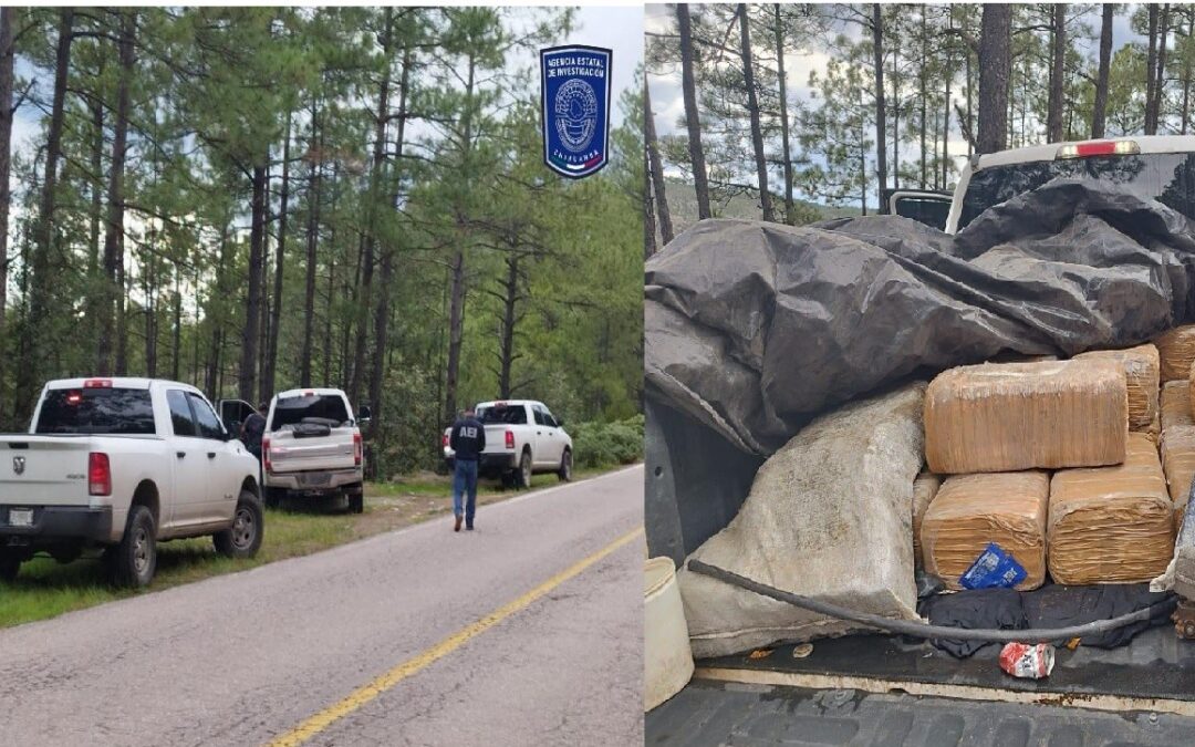 ASEGURA AEI DROGA Y PICKUP ROBADA
