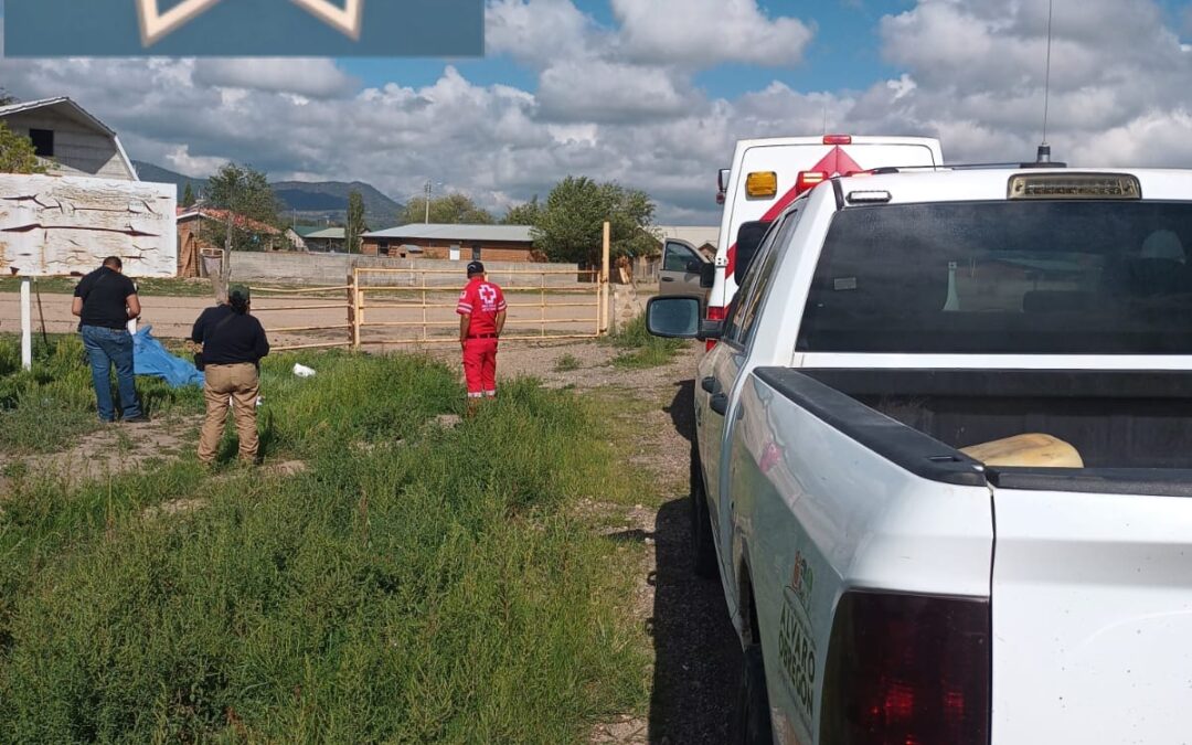 EN EJIDO PROGRESO HOMBRE SIN VIDA SEMIDESNUDO