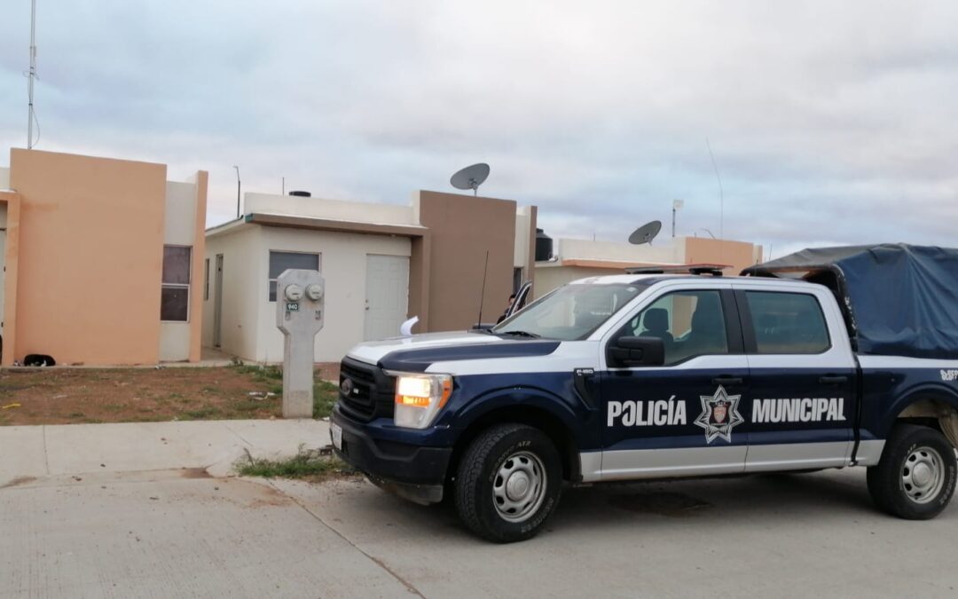 ROBAN EN VIVIENDA DEL SECTOR ALBATERRA