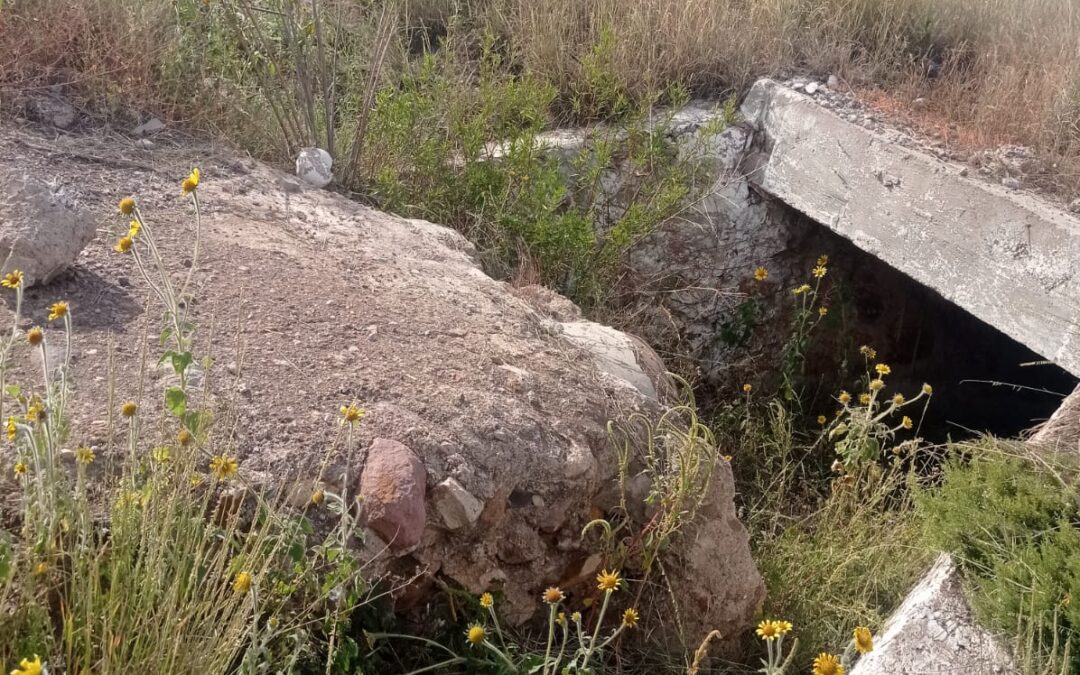 JOVENES  EBRIOS SALEN ILESOS DE VOLCADURA
