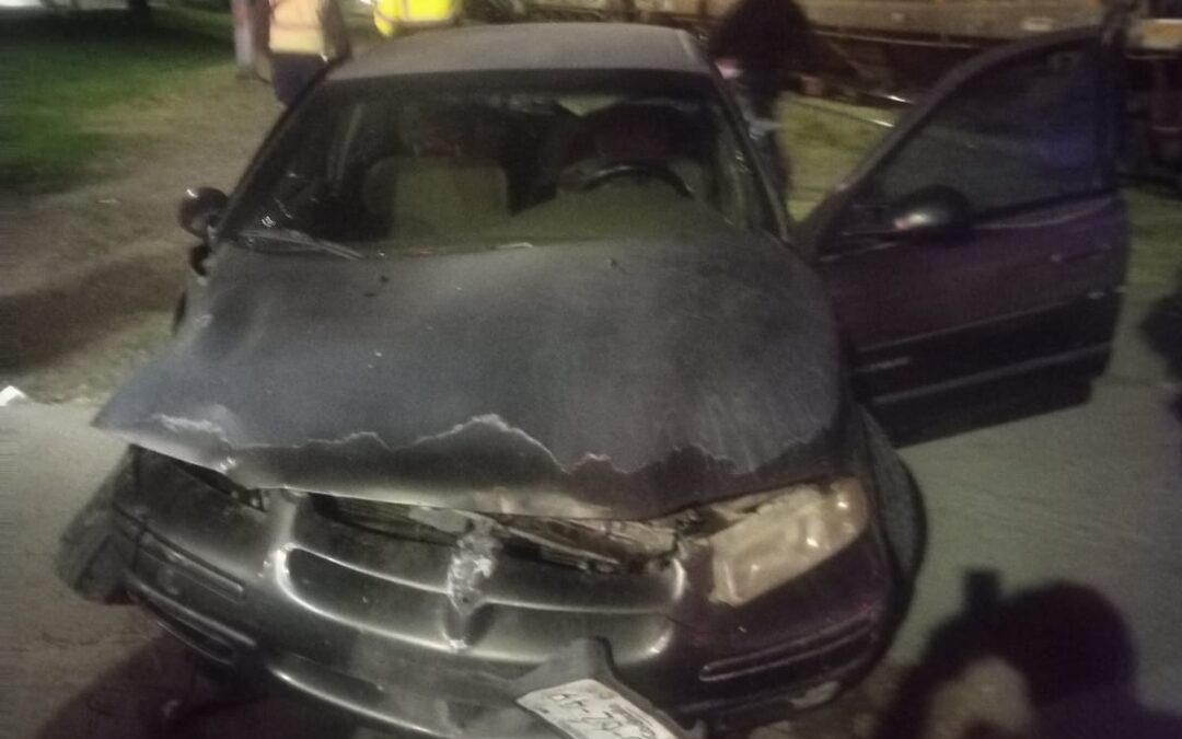 POR POCO Y SE LO LLEVA EL TREN