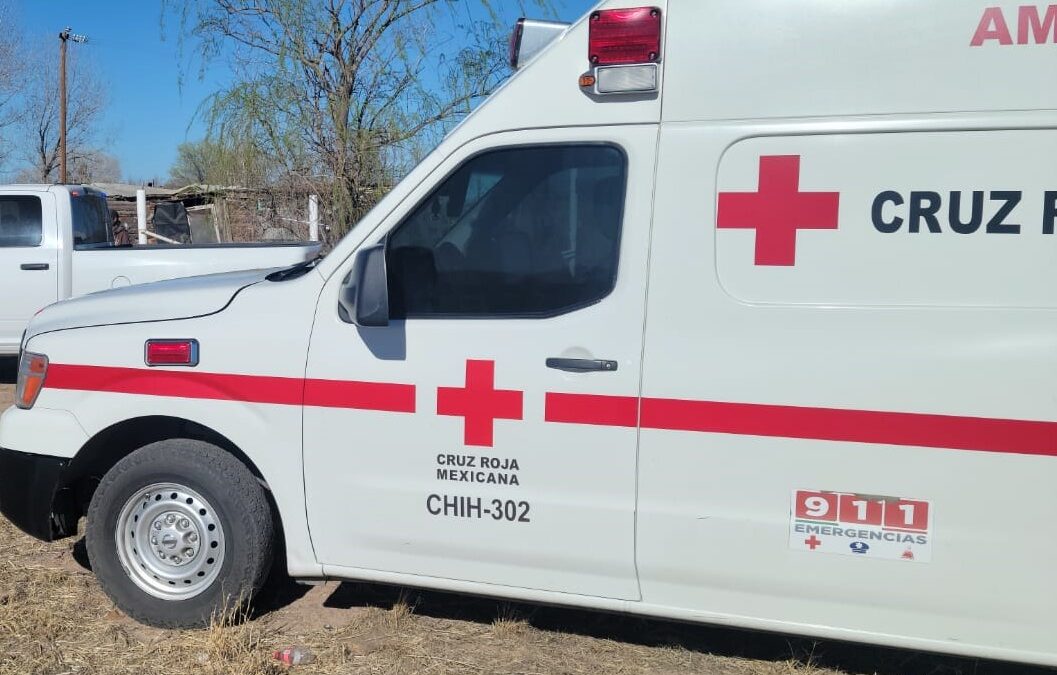 EN URUACHI  MUERE NIÑO  DE 3 AÑOS  LUEGO DE CAER DE UN CABALLO