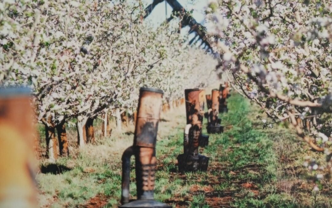 CONTAMINACIÓN INVERNAL