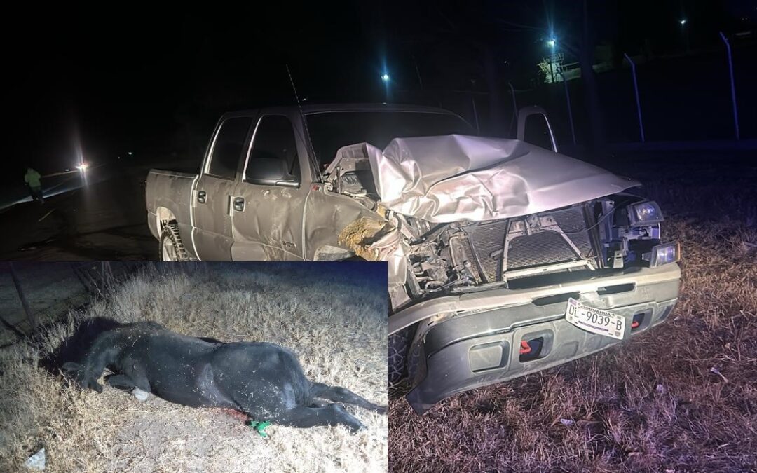 IMPACTA A CABALLO DAÑOS  A LA PICK UP POR 60 MIL PESOS