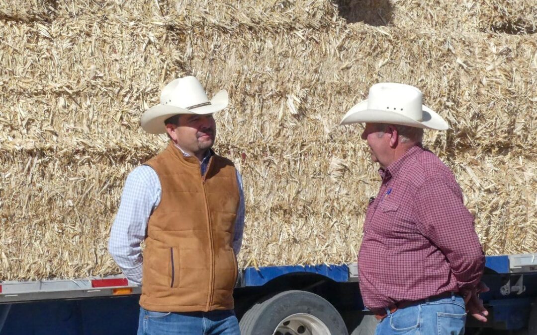 PRESUPUESTO 2025 ATENDER SEQUIA Y FORTALECER EL CAMPO: SAÚL MIRELES