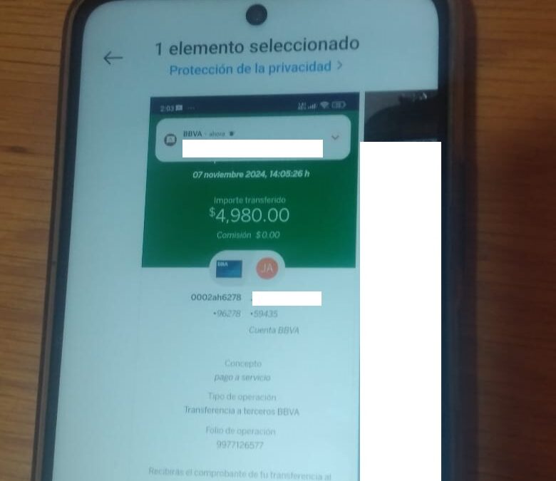 ESTAFA  TELEFONICA  A RESIDENTE DE CAMPO MENONITA