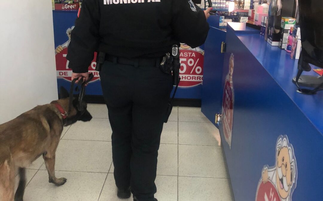 VIGILANCIA EN EL CENTRO DE LA CIUDAD