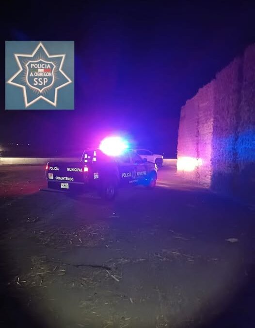 EN EL CAMPO 12 ENCUENTRAN MASCULINO SIN VIDA