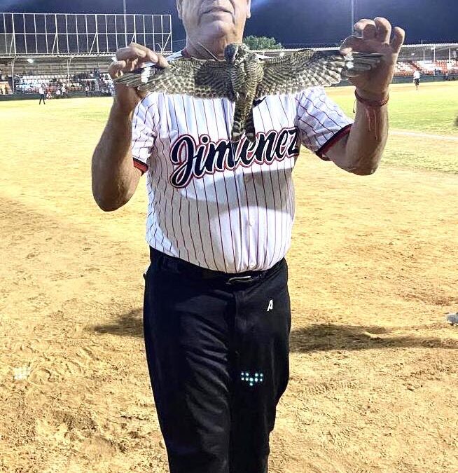 “CASOS ÚNICOS Y SORPRENDENTES DENTRO DEL BEIS BOL “