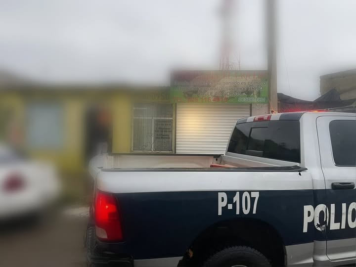 ARREBATAN BOLSAS DE MANO A DOS DAMAS