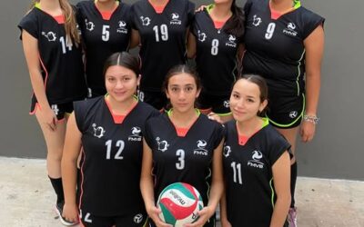 TORNEO DE VOLEIBOL