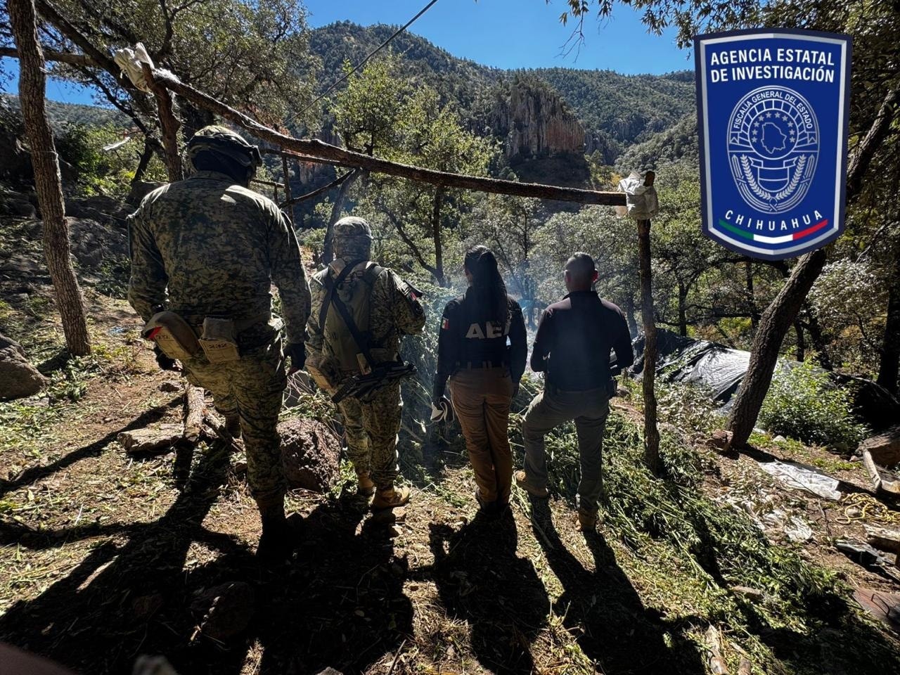 ASEGURAN PLANTIOS  RUMBO A NAMIQUIPA