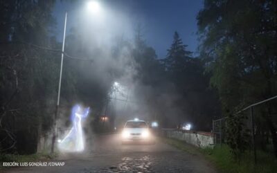 LA DAMA DE LA TINTORERIA