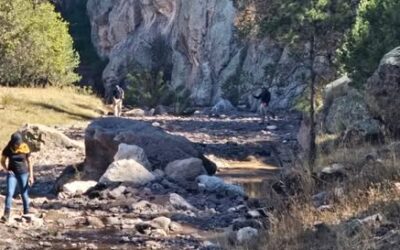 HACEN RASTREO EN BAPOREACHI