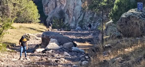 577550649_1239648538187211_4267746707116112368_n