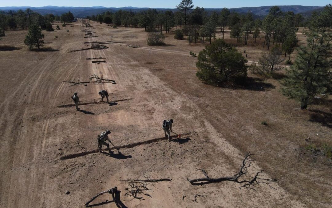 DESTRUYEN PISTA CLANDESTINA EN GUACHOCHI