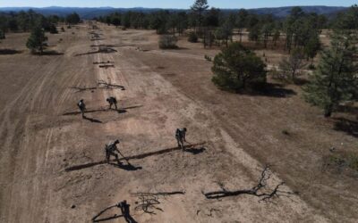 DESTRUYEN PISTA CLANDESTINA EN GUACHOCHI
