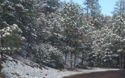 PREVALECE AMBIENTE FRÍO Y LLUVIAS: CEPC