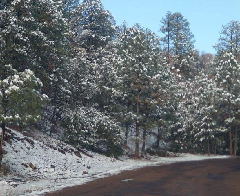 PREVALECE AMBIENTE FRÍO Y LLUVIAS: CEPC