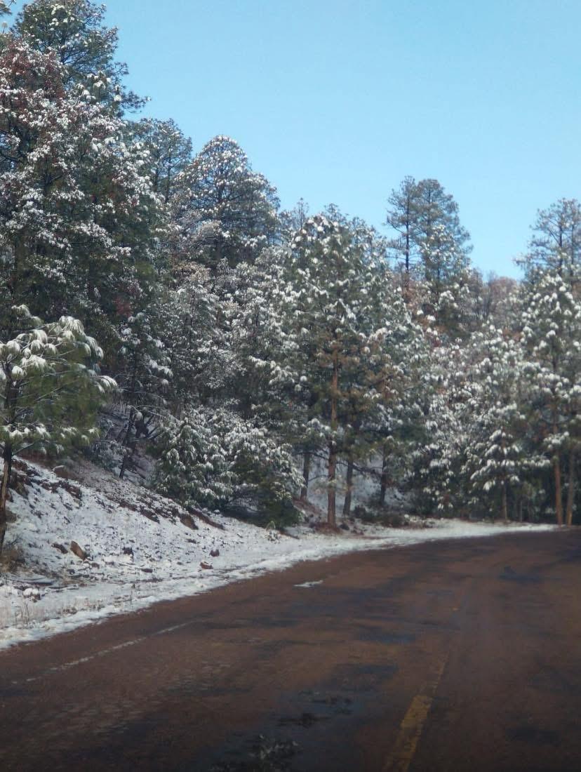 WhatsApp Image 2025-04-04 at 9.11.15 AM