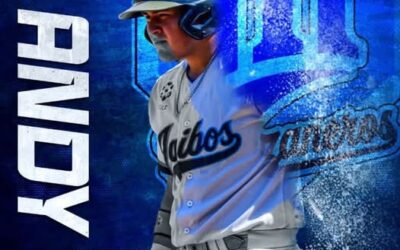 NUEVA CARTA PARA LA ZONA:ANDY ARAMIS UTILITY