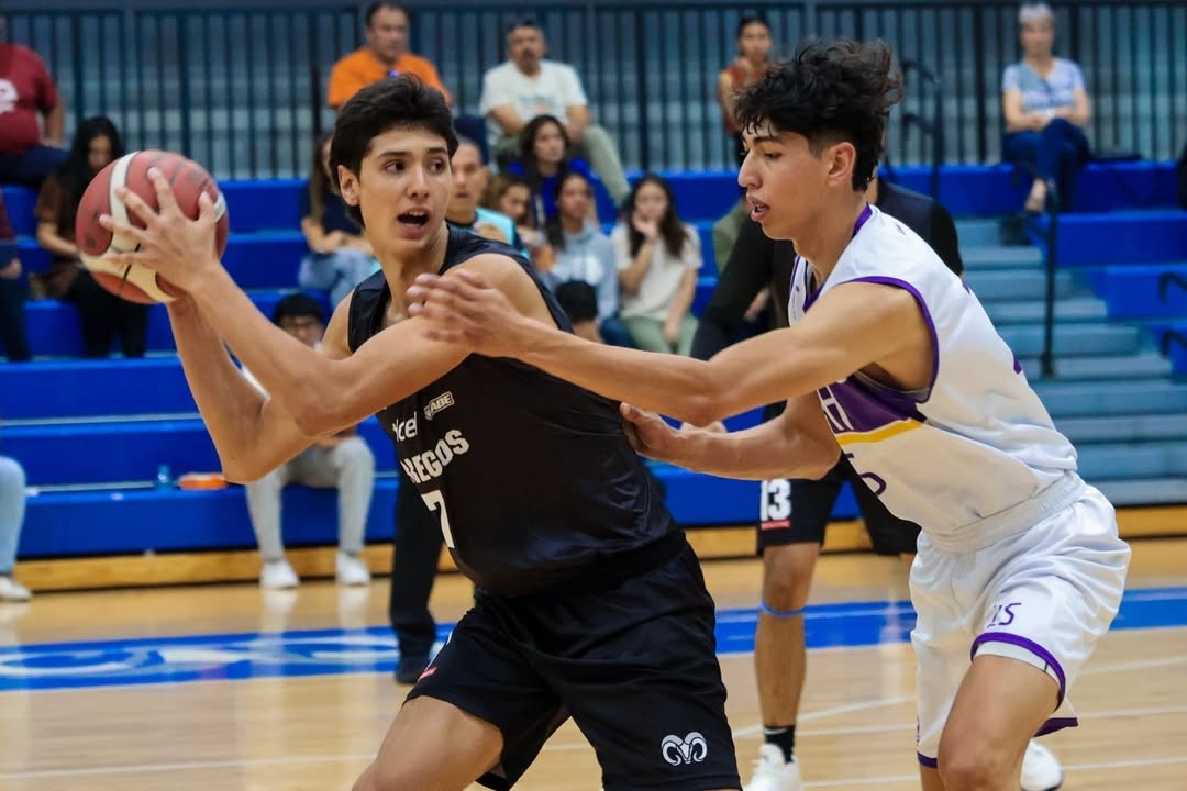 WhatsApp Image 2026-02-20 at 1.25.43 PM