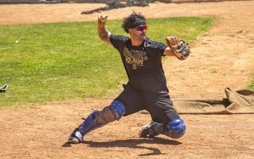 ESTA SEMANA MANDA EL BEISBOL:VENADOS RECIBEN A MANZANEROS